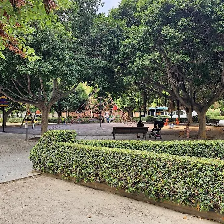 Ciencias O *